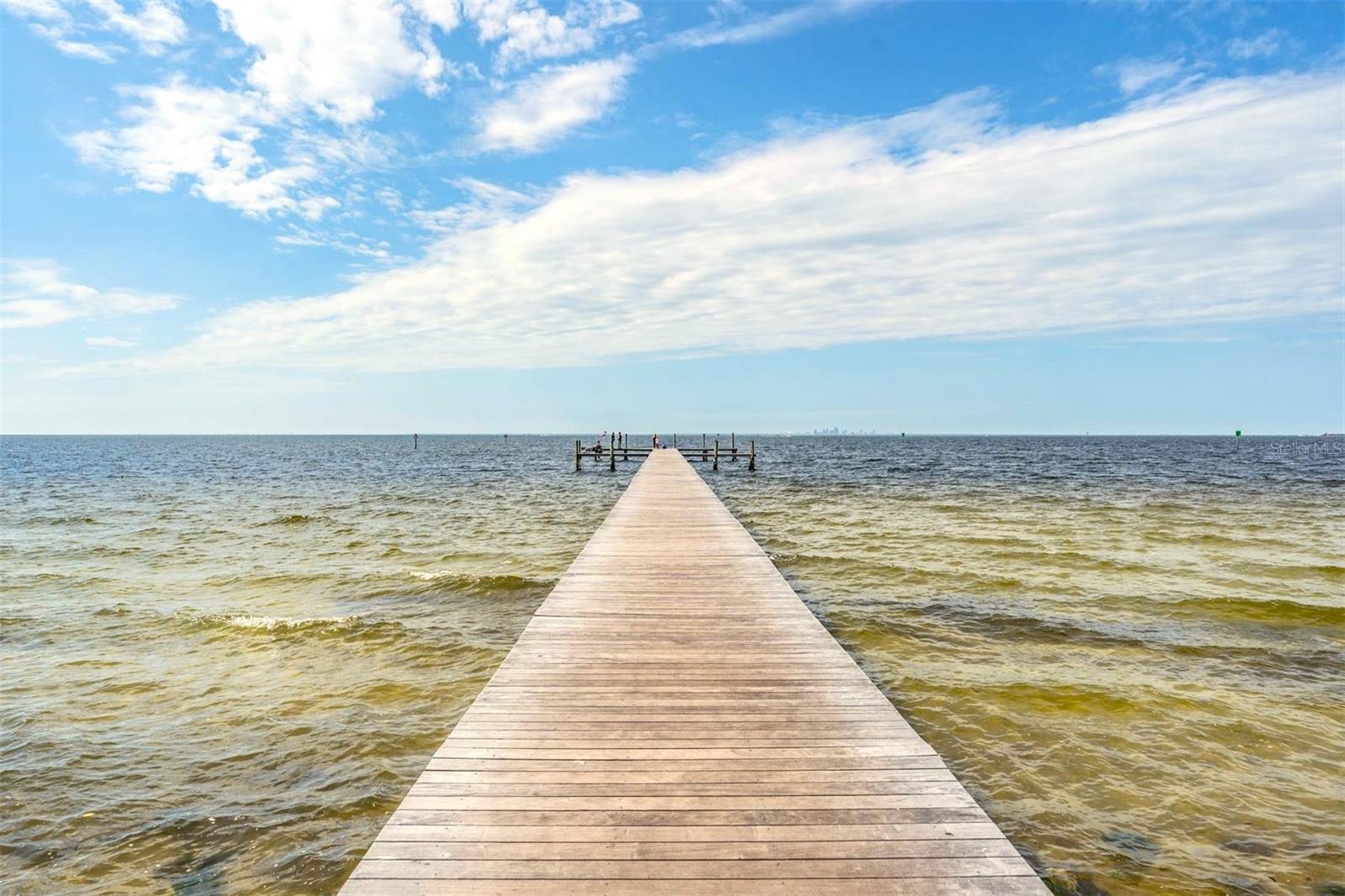 905 SEAGRAPE DR, RUSKIN, FL, 33570