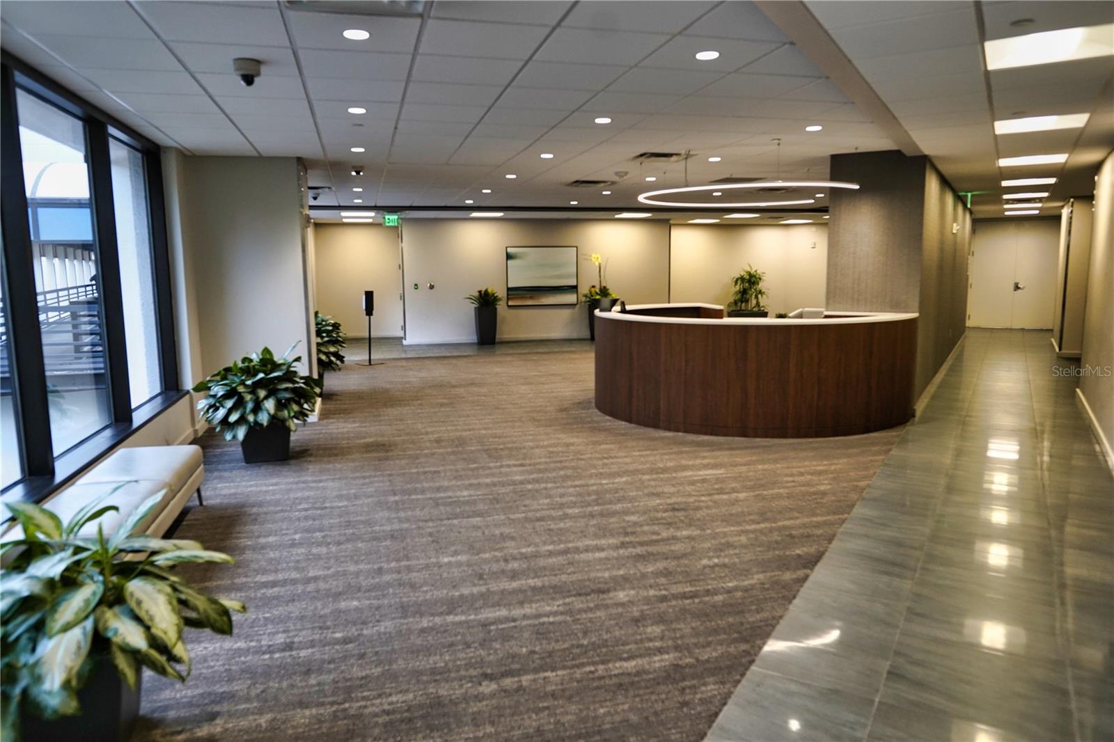20 N ORANGE AVE #202, ORLANDO, FL, 32801