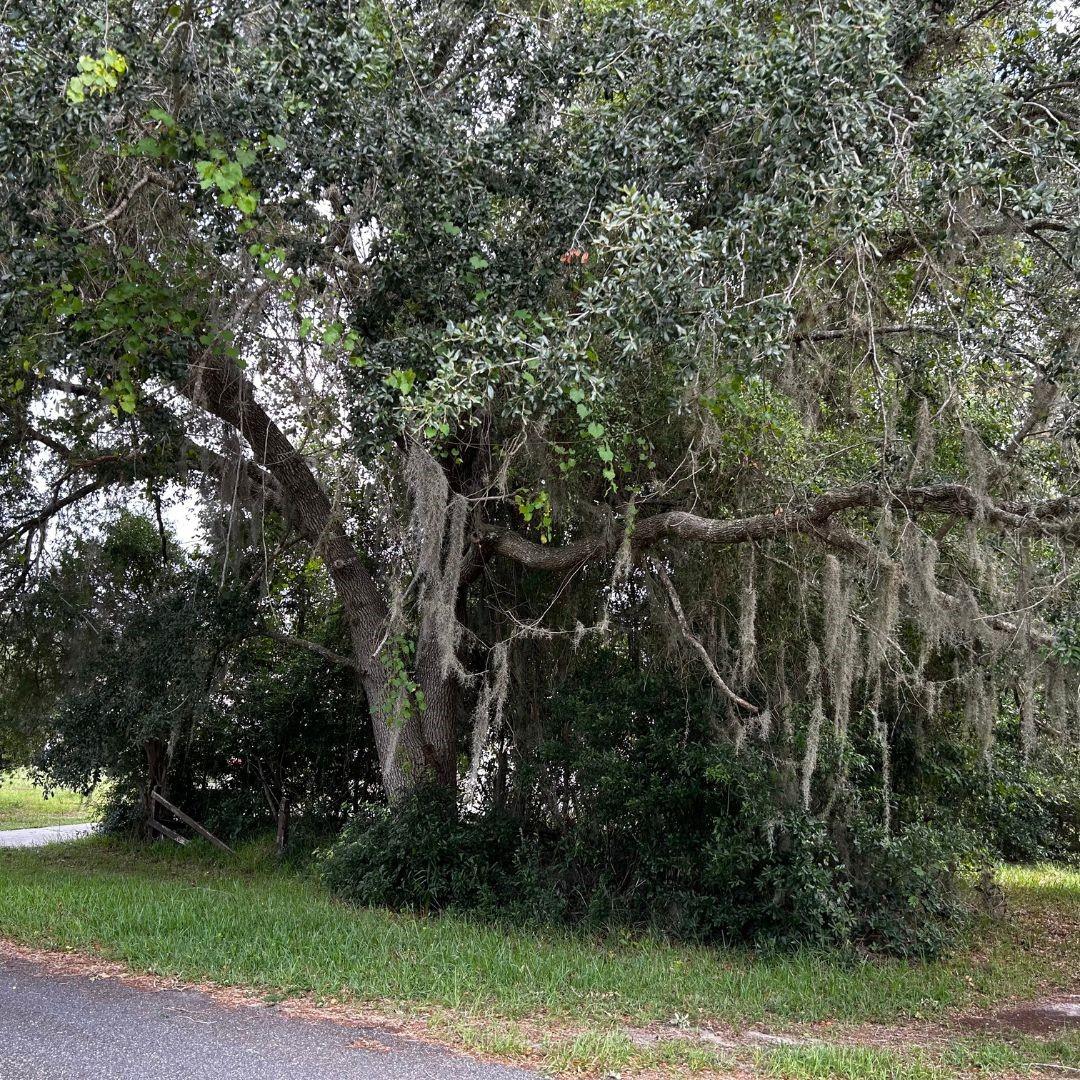 0 SE 195TH PL, DUNNELLON, FL, 34431