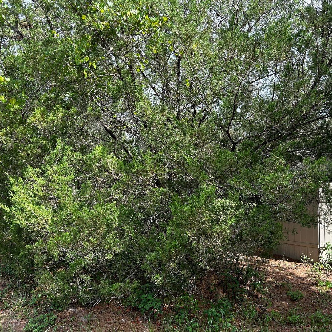 0 SE 195TH PL, DUNNELLON, FL, 34431