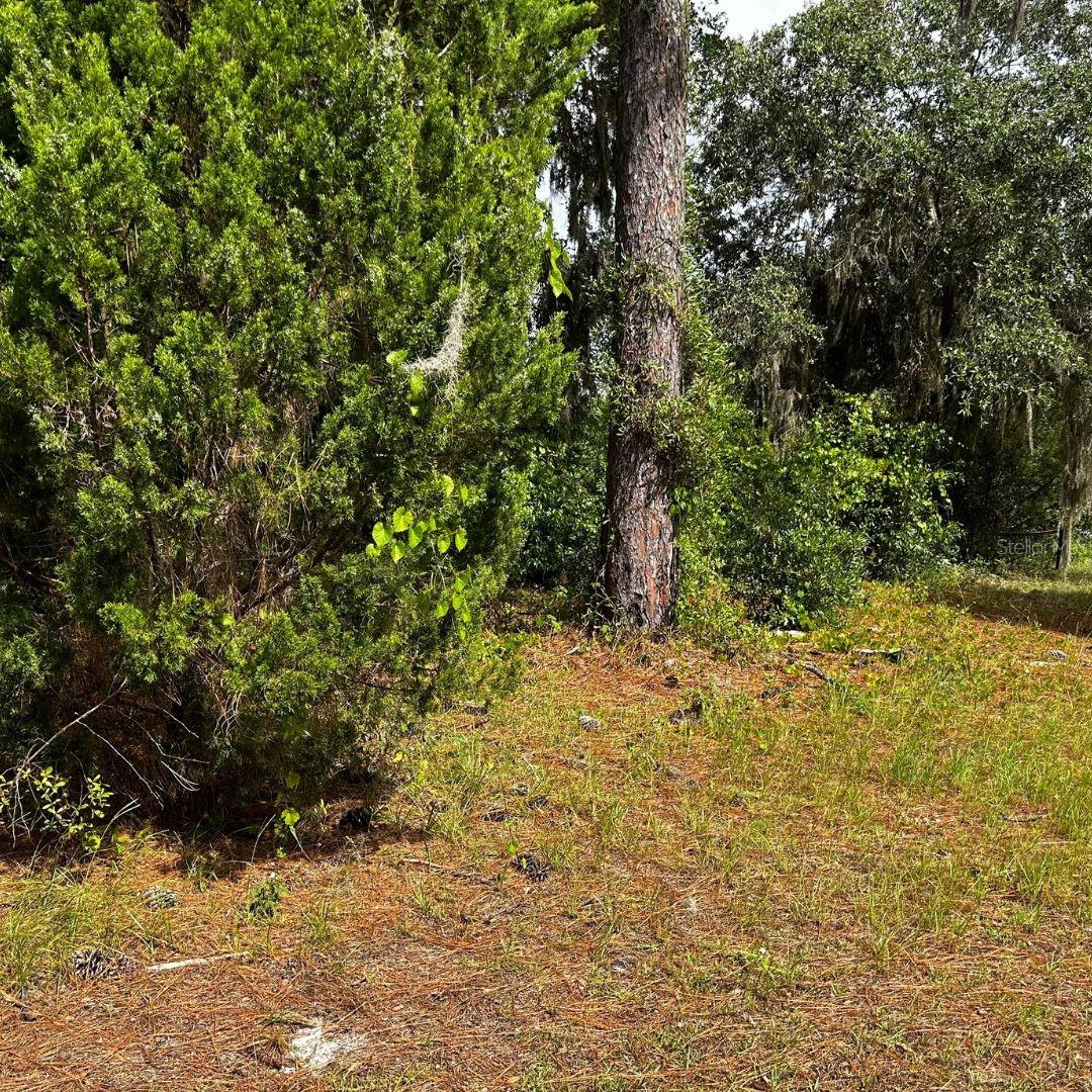 0 SE 195TH PL, DUNNELLON, FL, 34431