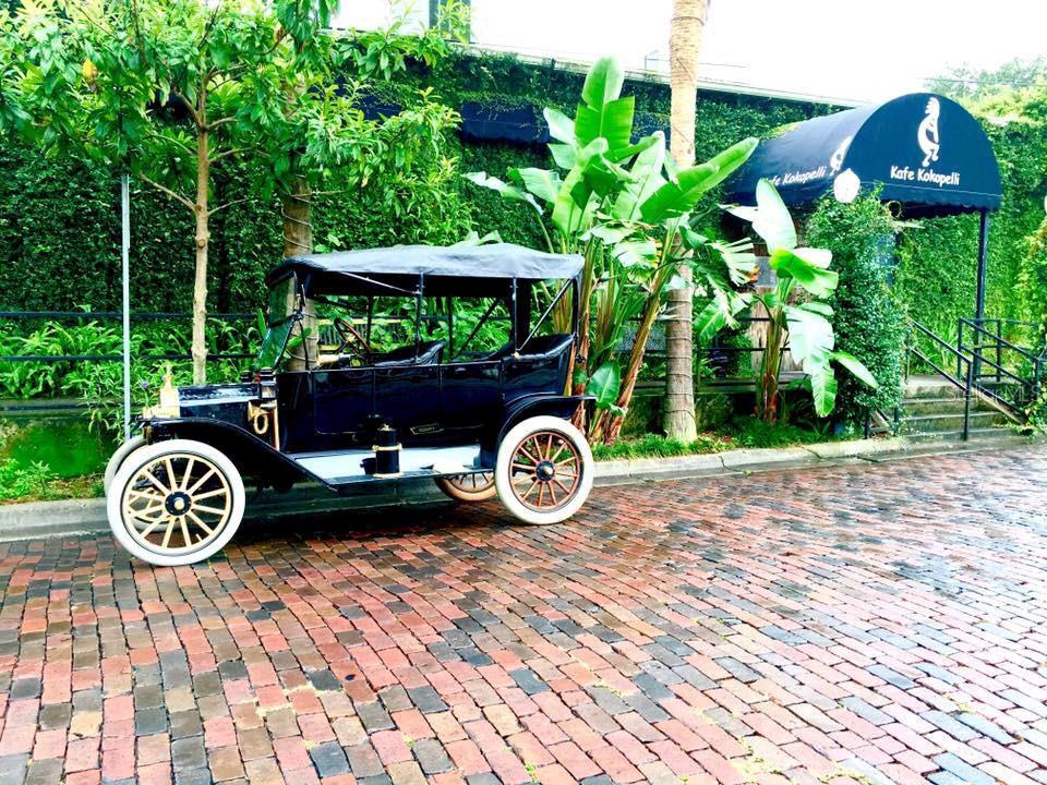 12195 STIRRUP DR, DADE CITY, FL, 33525