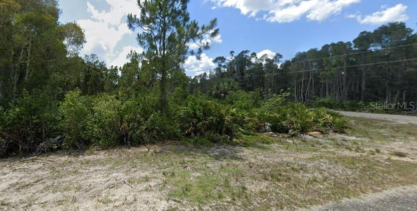 1010 LISBON AVE, LEHIGH ACRES, FL, 33974