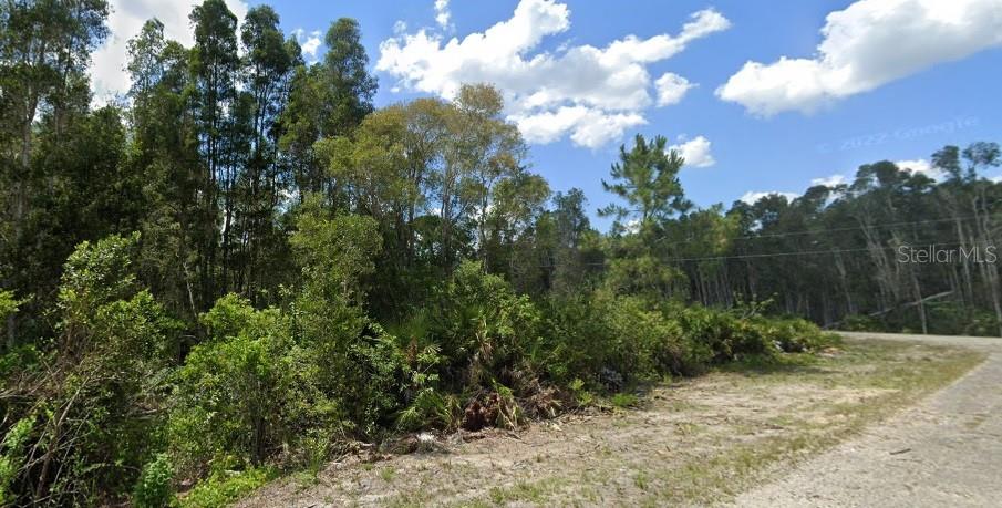 1010 LISBON AVE, LEHIGH ACRES, FL, 33974