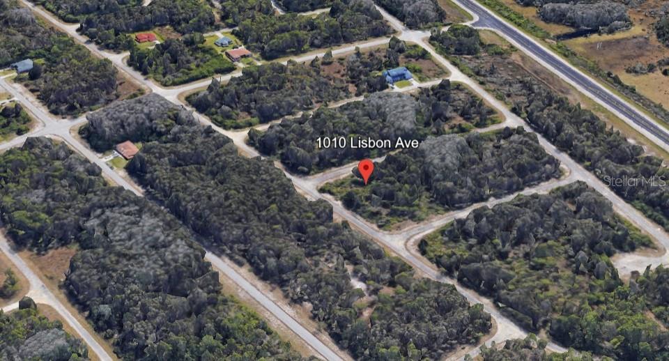 1010 LISBON AVE, LEHIGH ACRES, FL, 33974