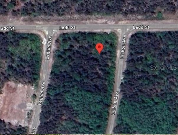 1010 LISBON AVE, LEHIGH ACRES, FL, 33974