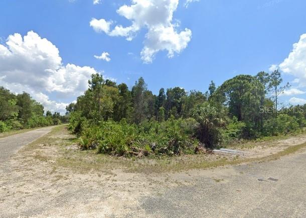 1010 LISBON AVE, LEHIGH ACRES, FL, 33974