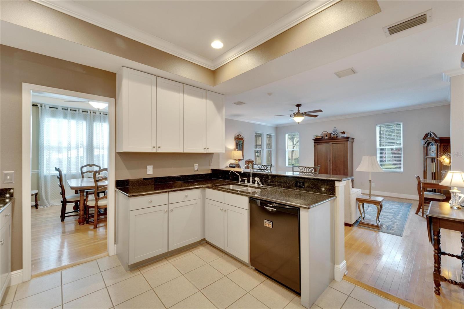 201 ELM VIEW CT, BRANDON, FL, 33511