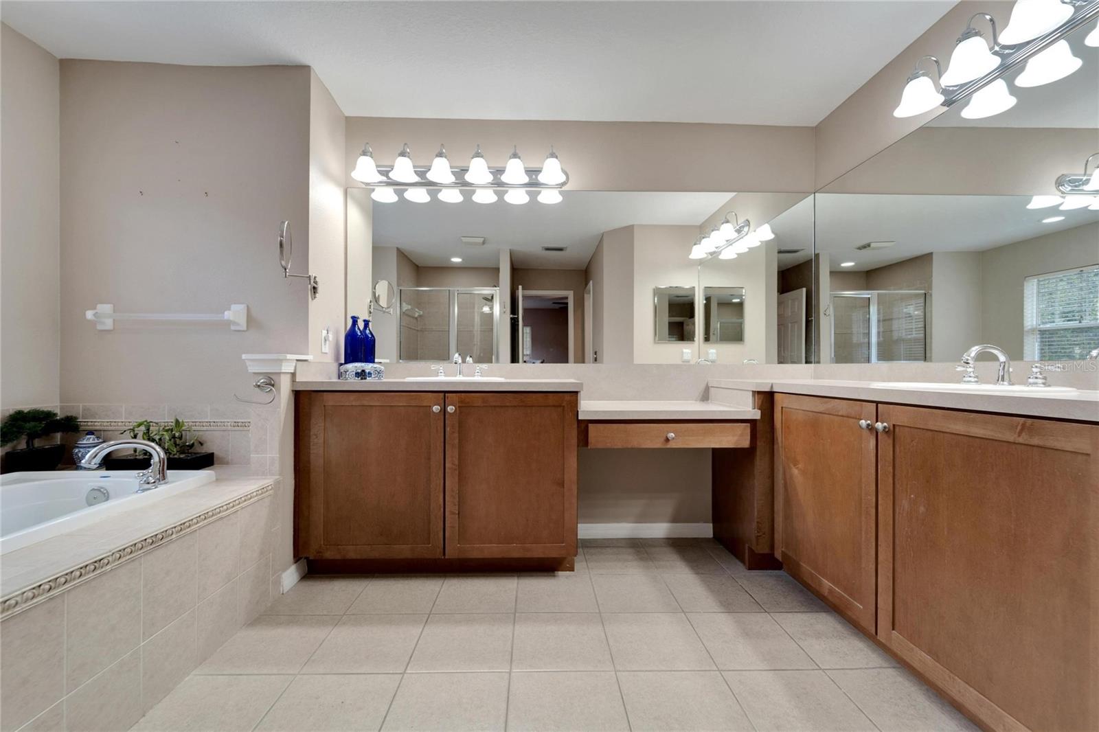 201 ELM VIEW CT, BRANDON, FL, 33511
