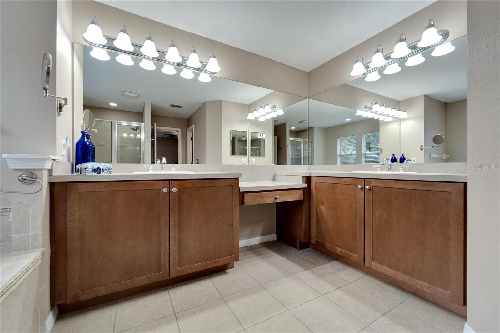 201 ELM VIEW CT, BRANDON, FL, 33511