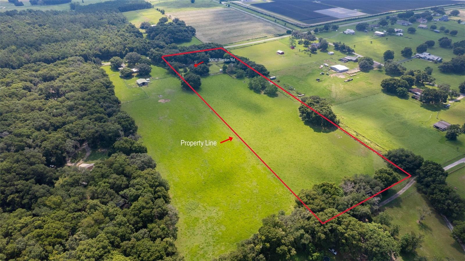 36634 BLANTON RD, DADE CITY, FL, 33523