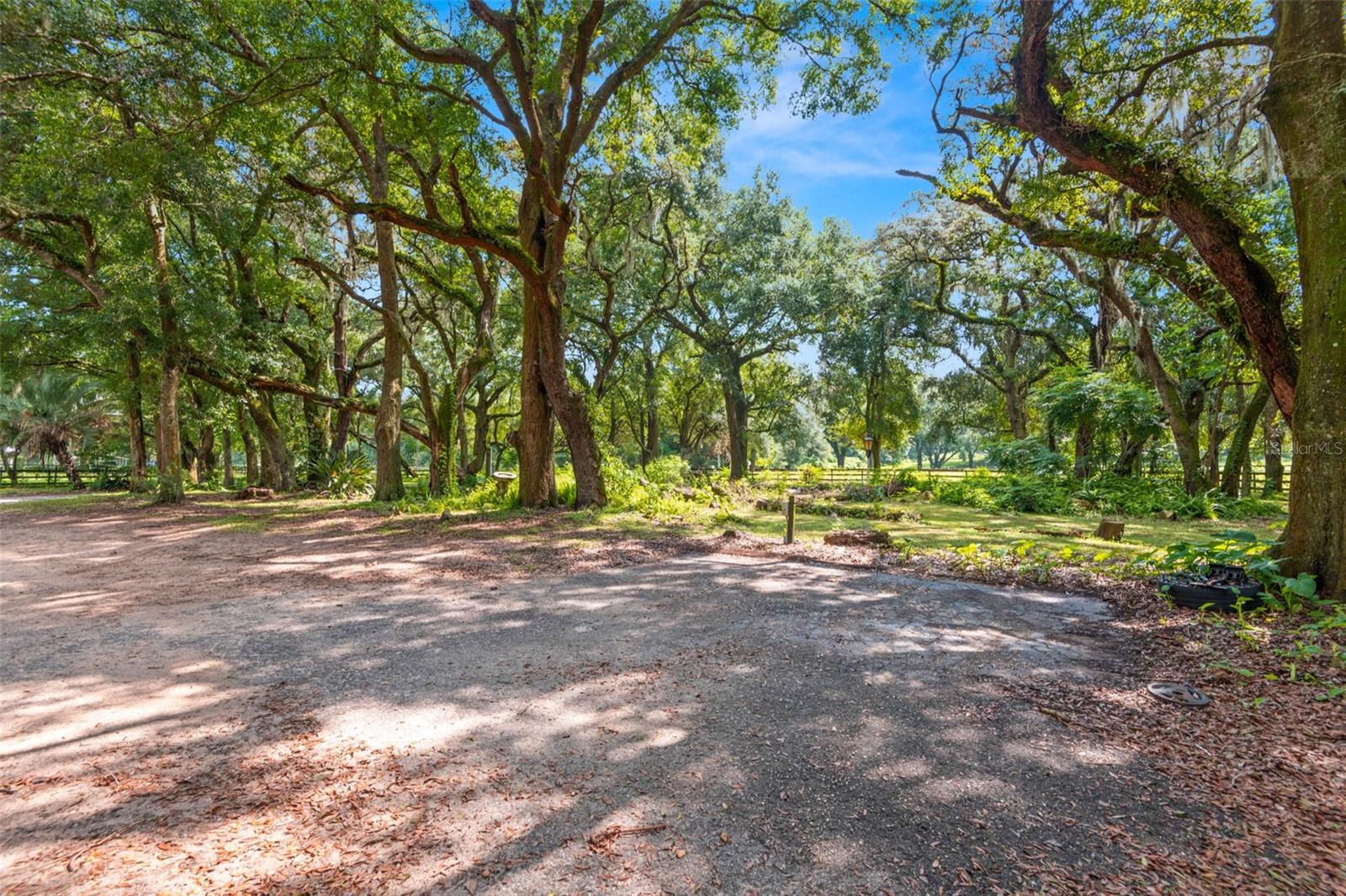 36634 BLANTON RD, DADE CITY, FL, 33523