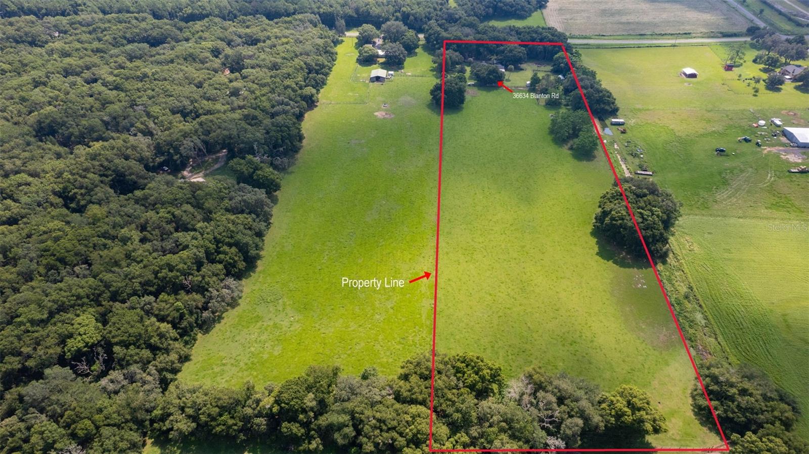 36634 BLANTON RD, DADE CITY, FL, 33523