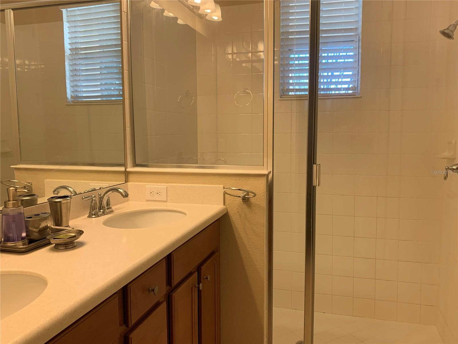 8745 VIA TAVOLERIA WAY, WINDERMERE, FL, 34786