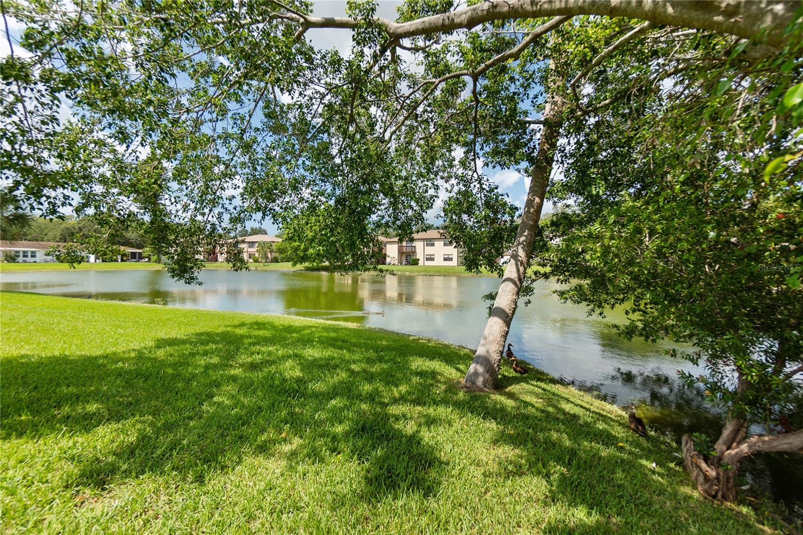 5055 LIVE OAK CIR, BRADENTON, FL, 34207