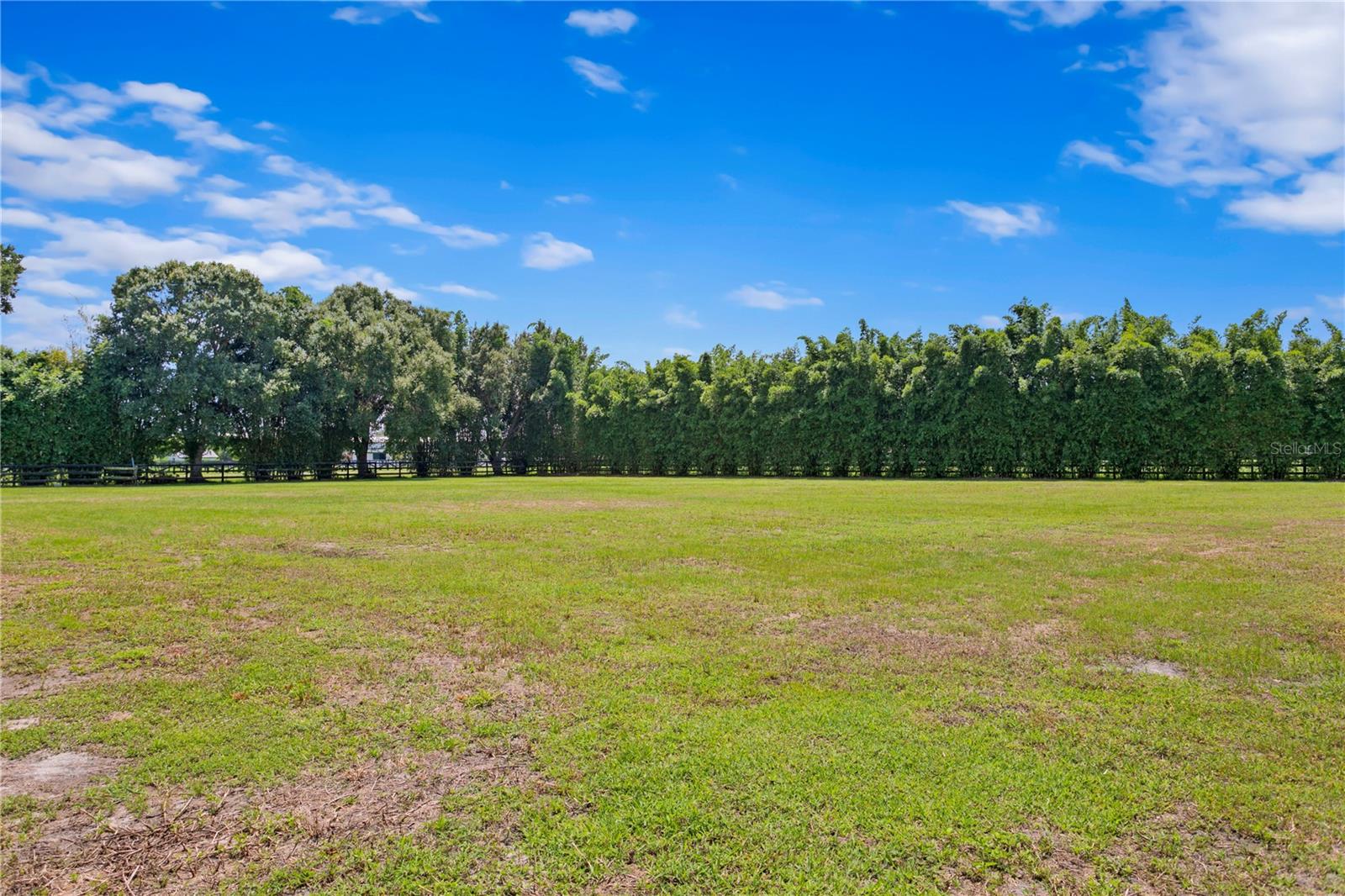 11603 INNFIELDS DR, ODESSA, FL, 33556