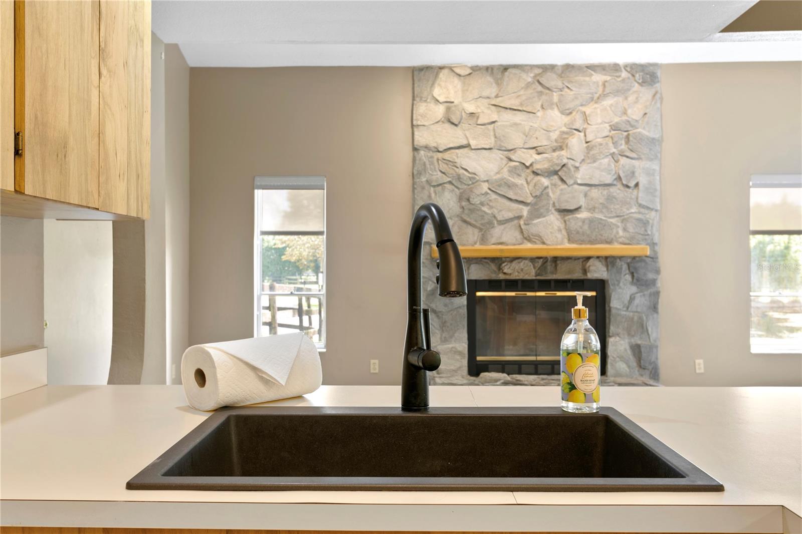 11603 INNFIELDS DR, ODESSA, FL, 33556