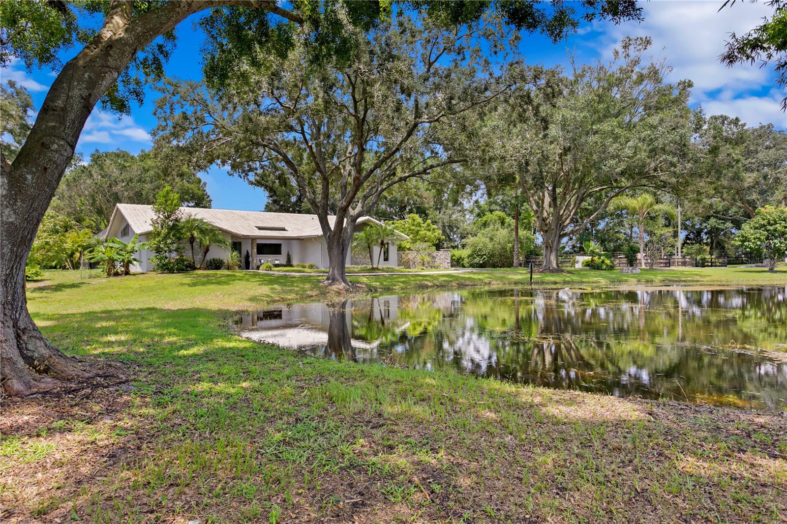 11603 INNFIELDS DR, ODESSA, FL, 33556