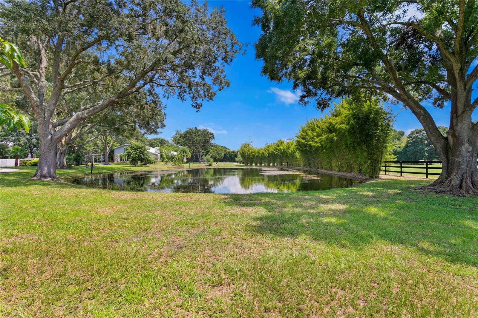 11603 INNFIELDS DR, ODESSA, FL, 33556