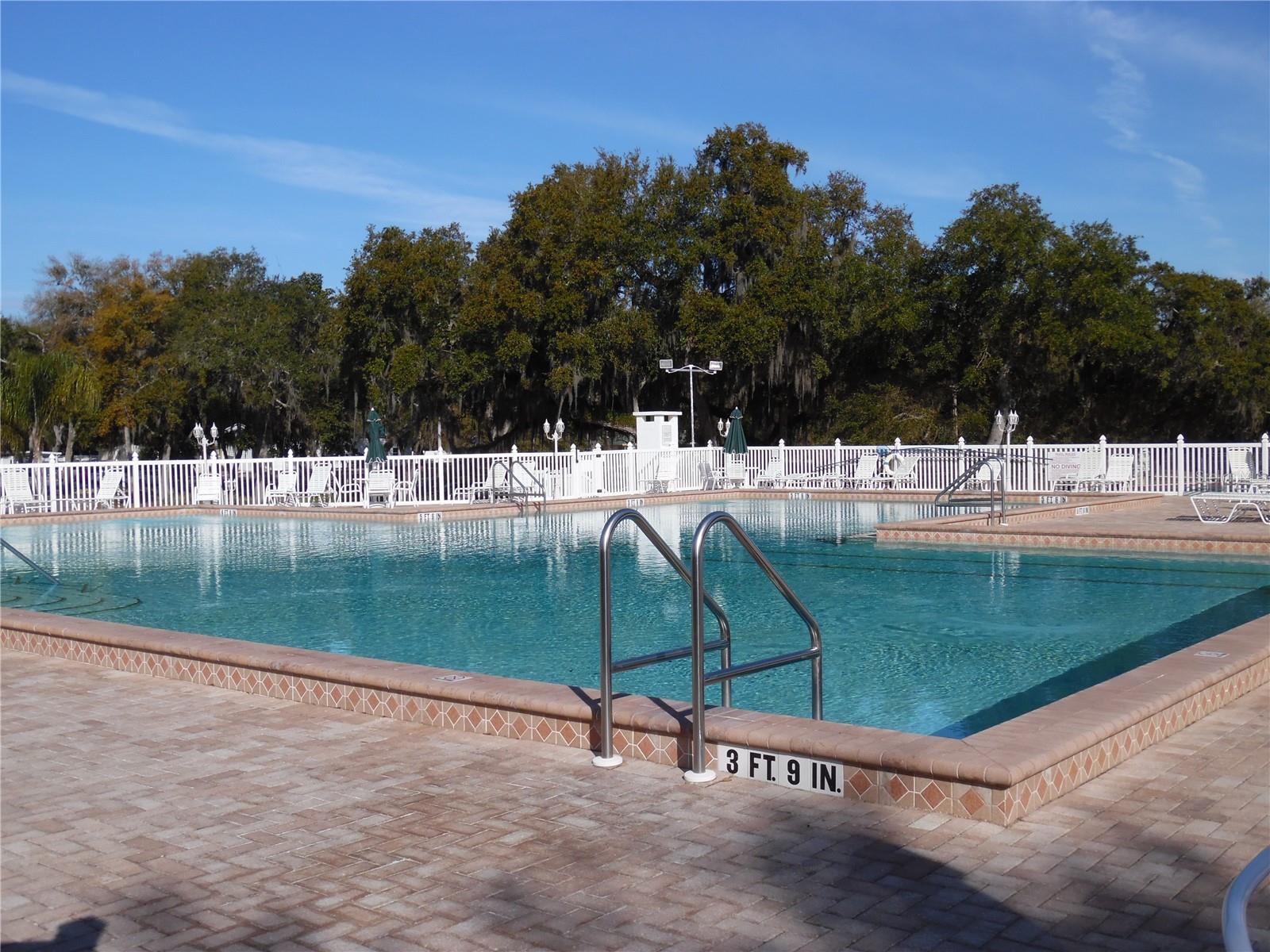 701 ROBIN LANE, WILDWOOD, FL, 34785
