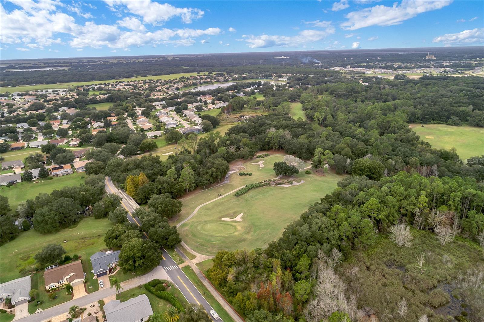 3506 MULBERRY GROVE LOOP, LEESBURG, FL, 34748
