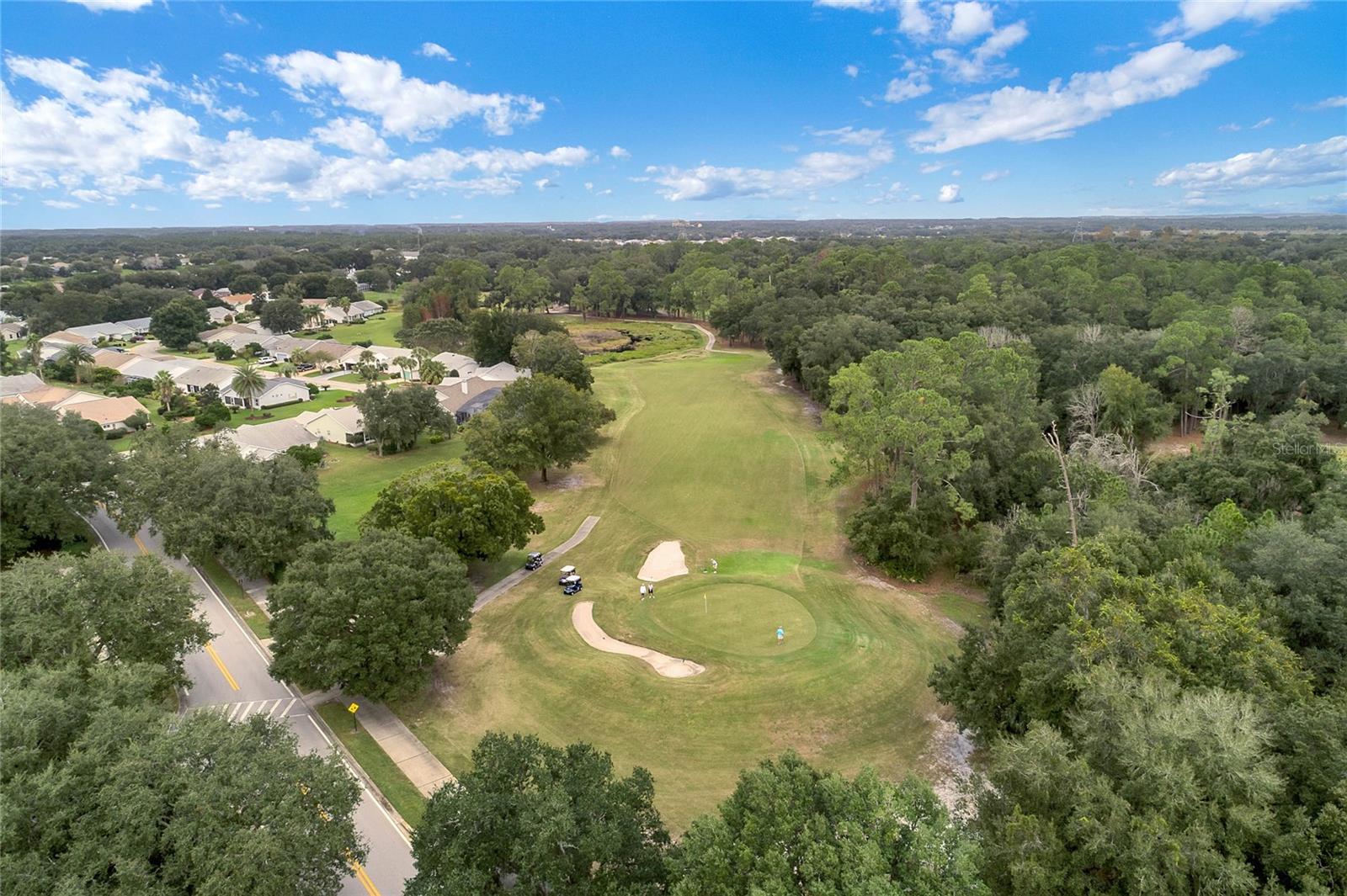 3506 MULBERRY GROVE LOOP, LEESBURG, FL, 34748