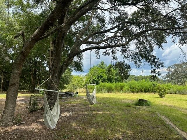 26643 SE 159TH LN, UMATILLA, FL, 32784