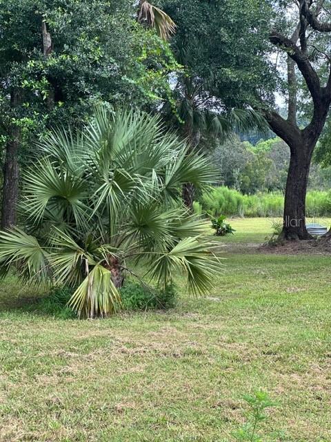 26643 SE 159TH LN, UMATILLA, FL, 32784