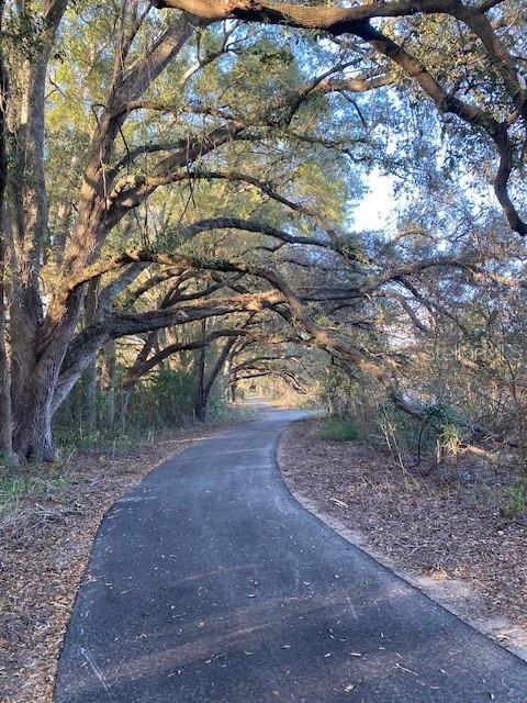 19379 SW 21ST PL, NEWBERRY, FL, 32669