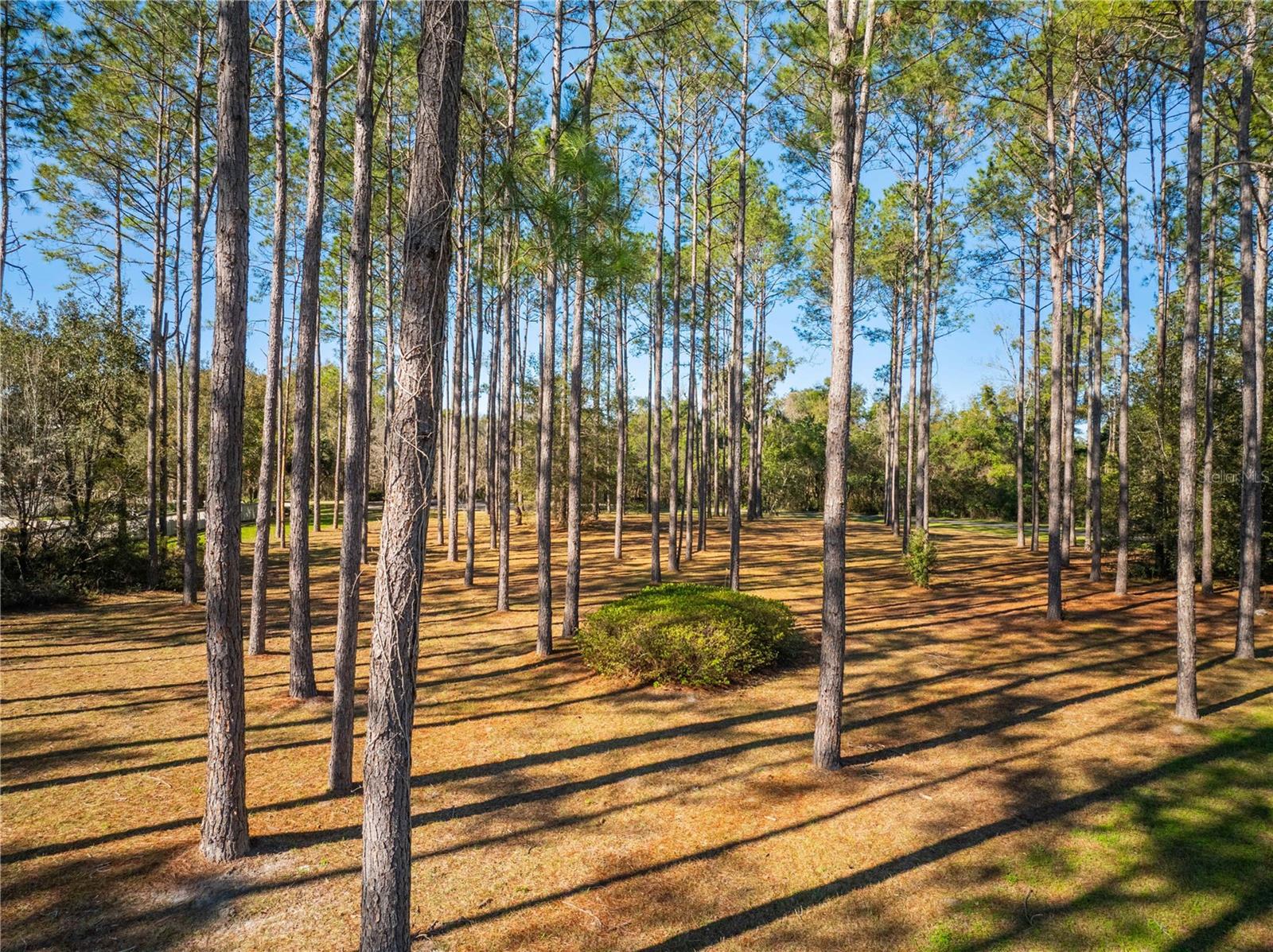 19379 SW 21ST PL, NEWBERRY, FL, 32669