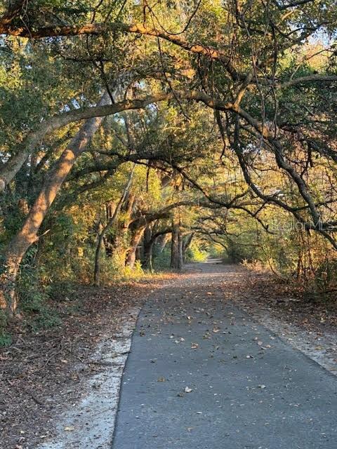 19092 SW 21ST PL, NEWBERRY, FL, 32669