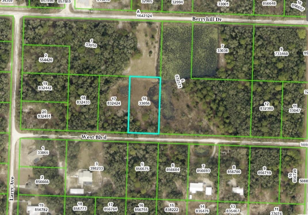 33461 WEST BLVD, WEBSTER, FL, 33597