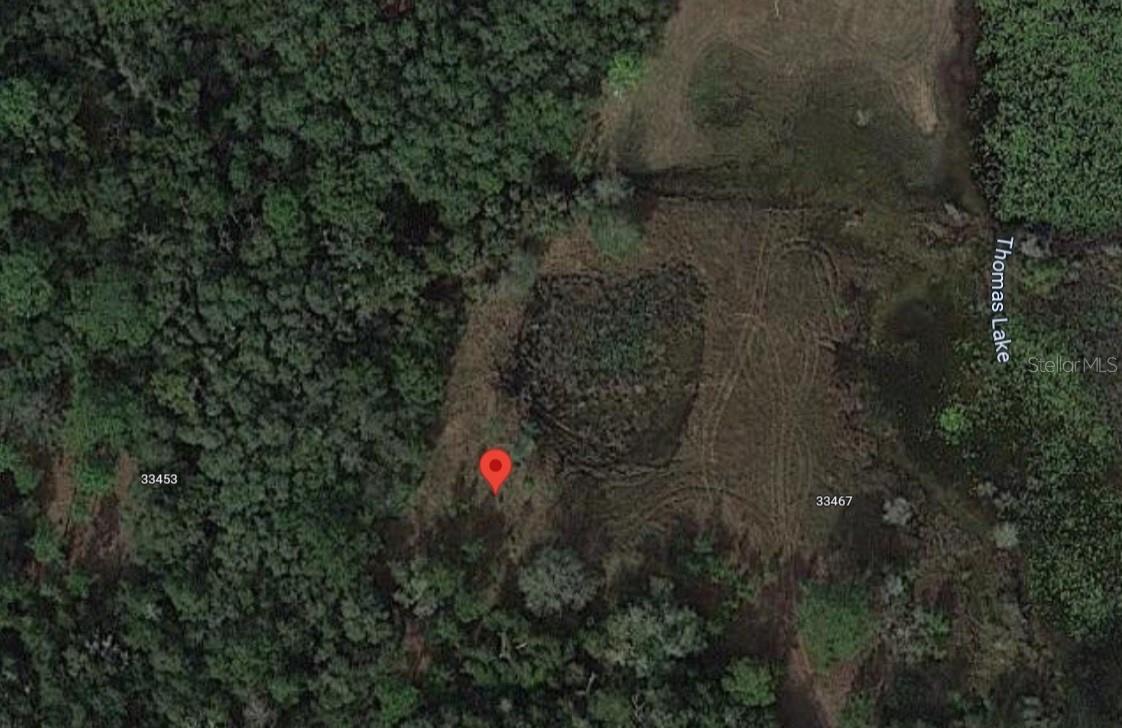 33461 WEST BLVD, WEBSTER, FL, 33597