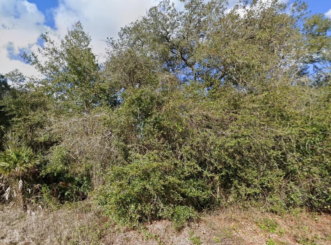 33461 WEST BLVD, WEBSTER, FL, 33597