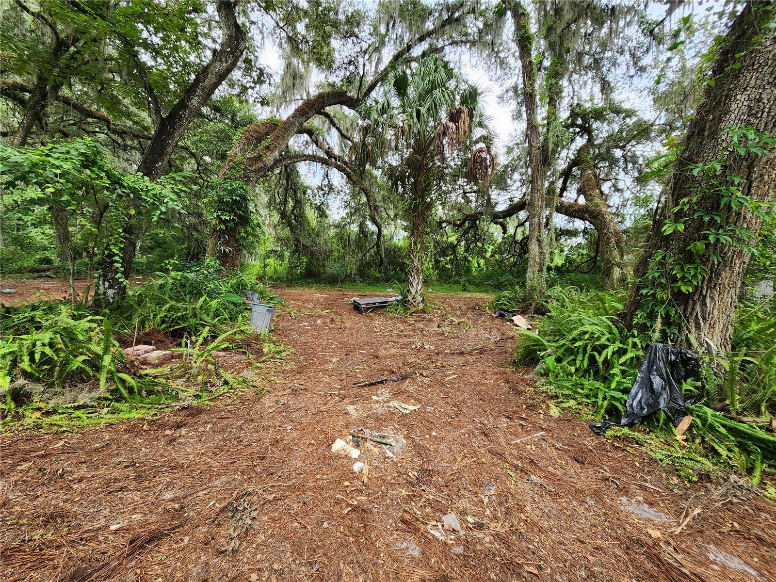 25058 HOLDEN DR, BROOKSVILLE, FL, 34601