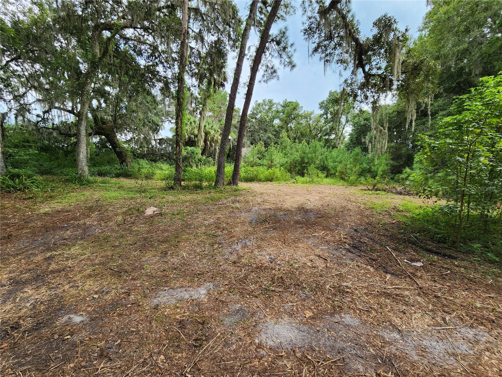 25058 HOLDEN DR, BROOKSVILLE, FL, 34601