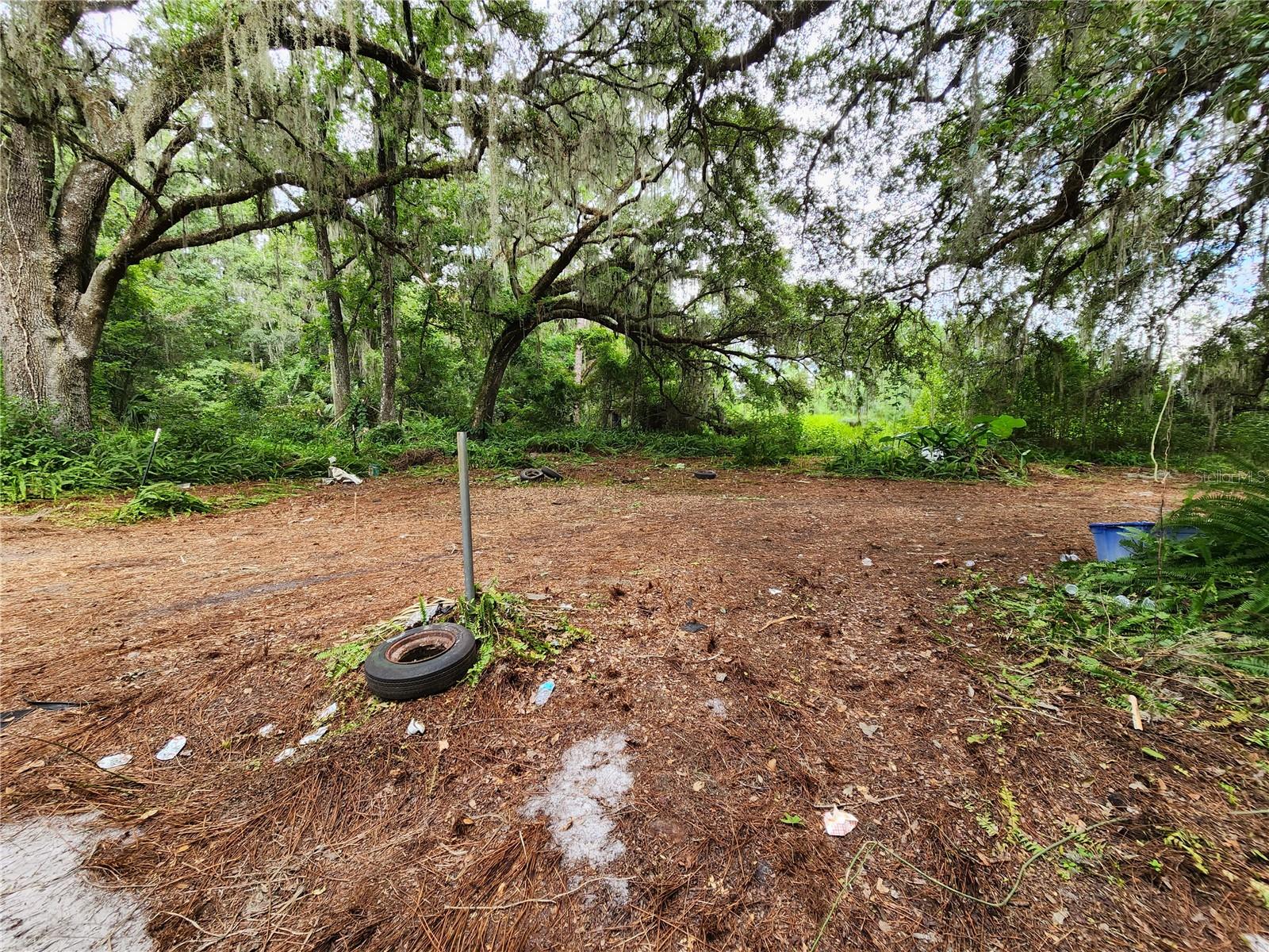 25058 HOLDEN DR, BROOKSVILLE, FL, 34601