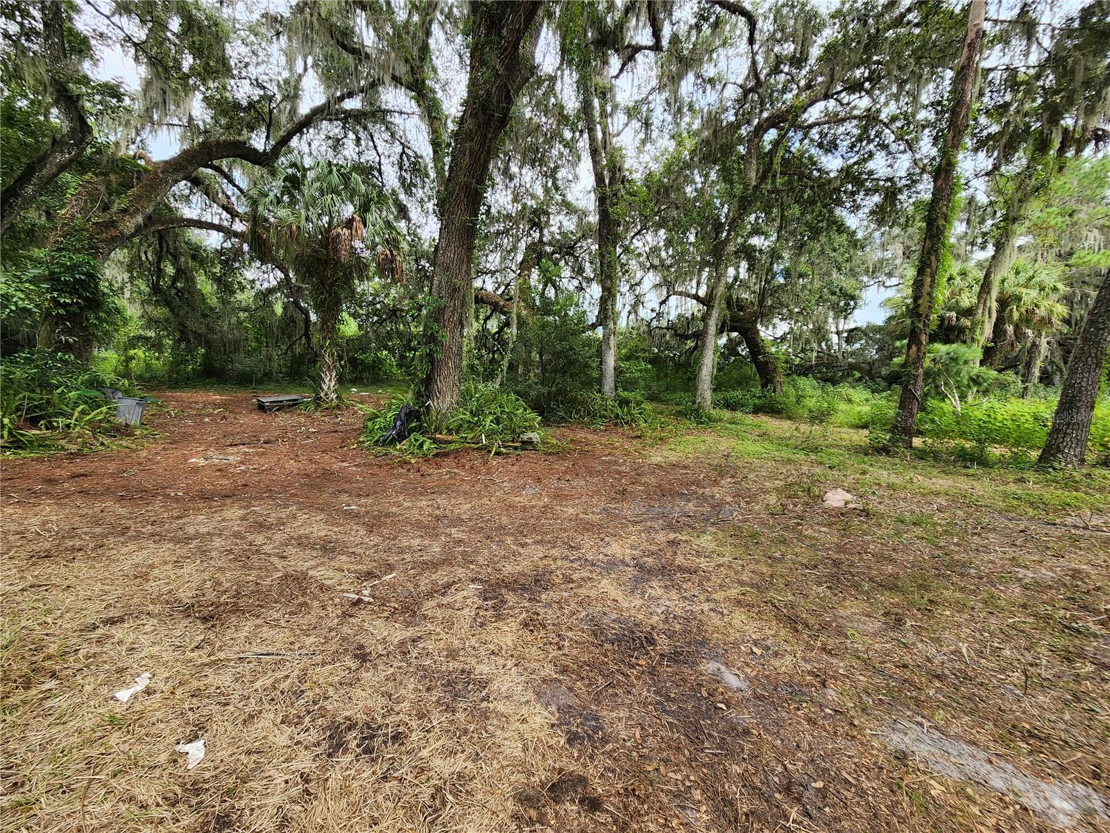 25058 HOLDEN DR, BROOKSVILLE, FL, 34601