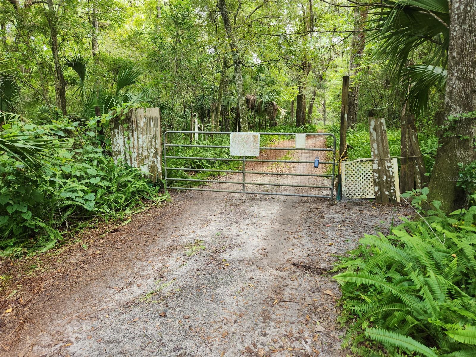 25058 HOLDEN DR, BROOKSVILLE, FL, 34601