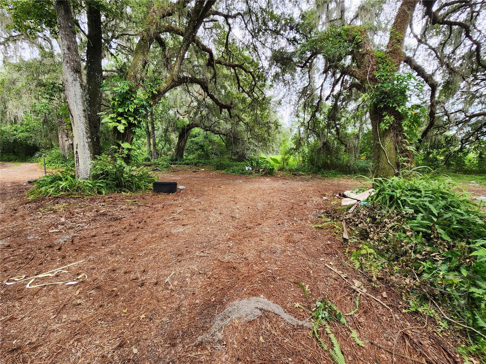 25058 HOLDEN DR, BROOKSVILLE, FL, 34601