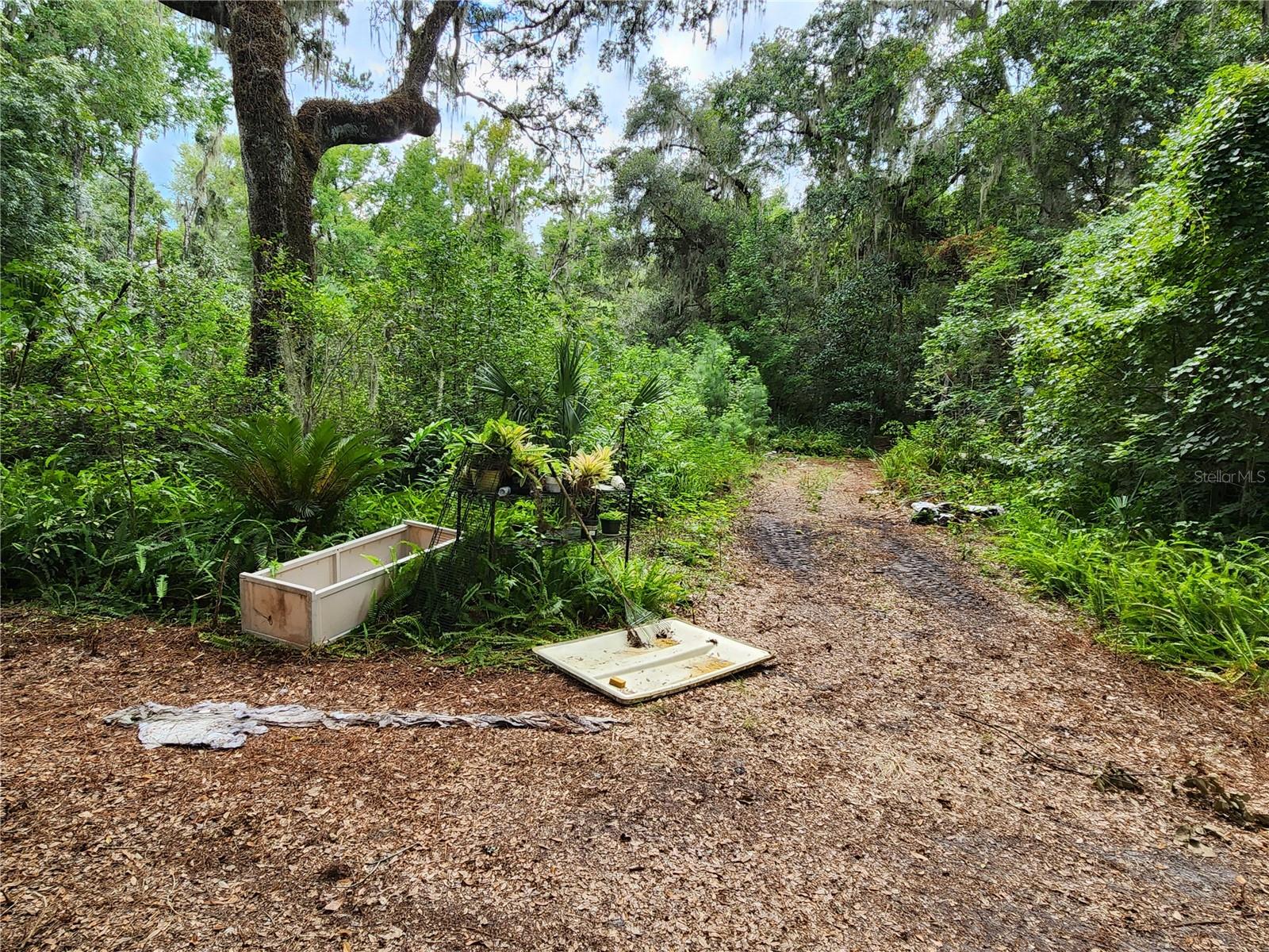25058 HOLDEN DR, BROOKSVILLE, FL, 34601