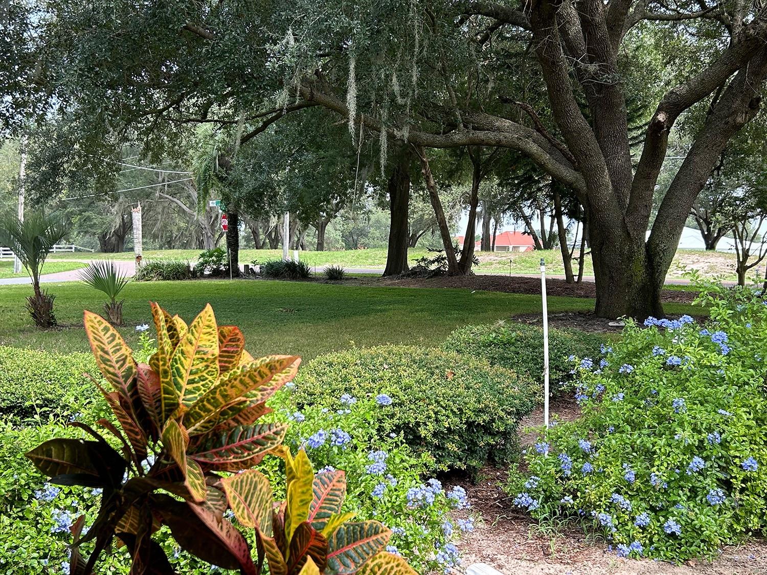 18550 LAKE EMMA DR, GROVELAND, FL, 34736
