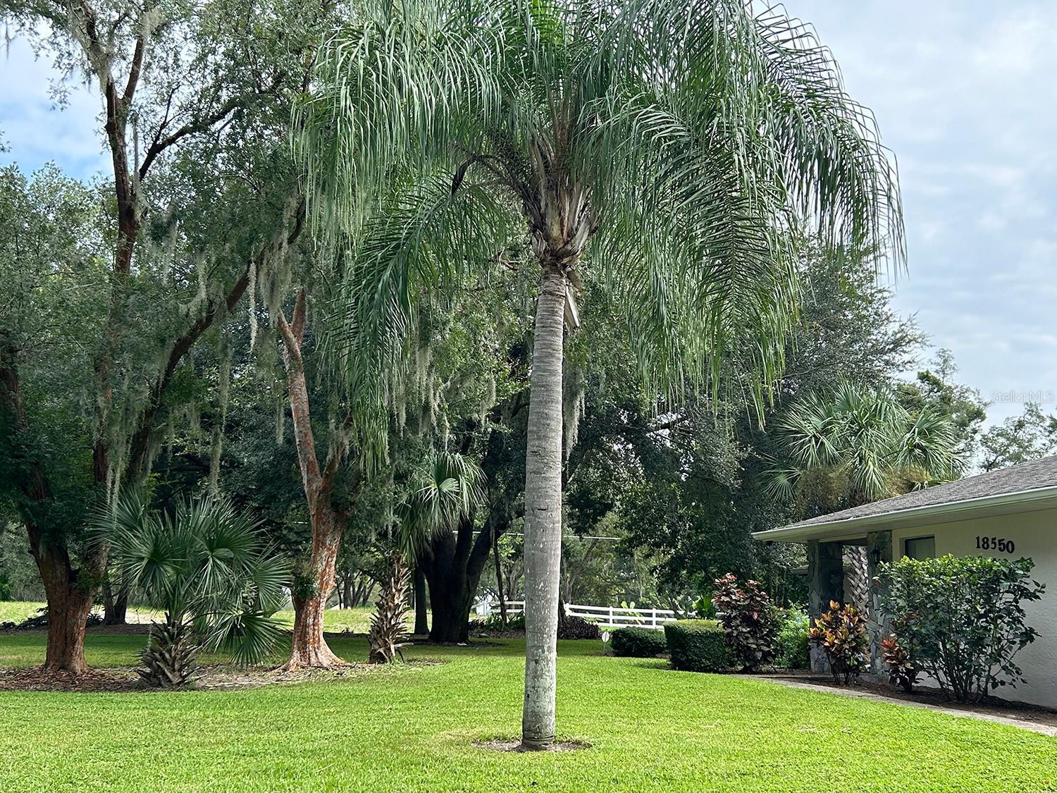 18550 LAKE EMMA DR, GROVELAND, FL, 34736