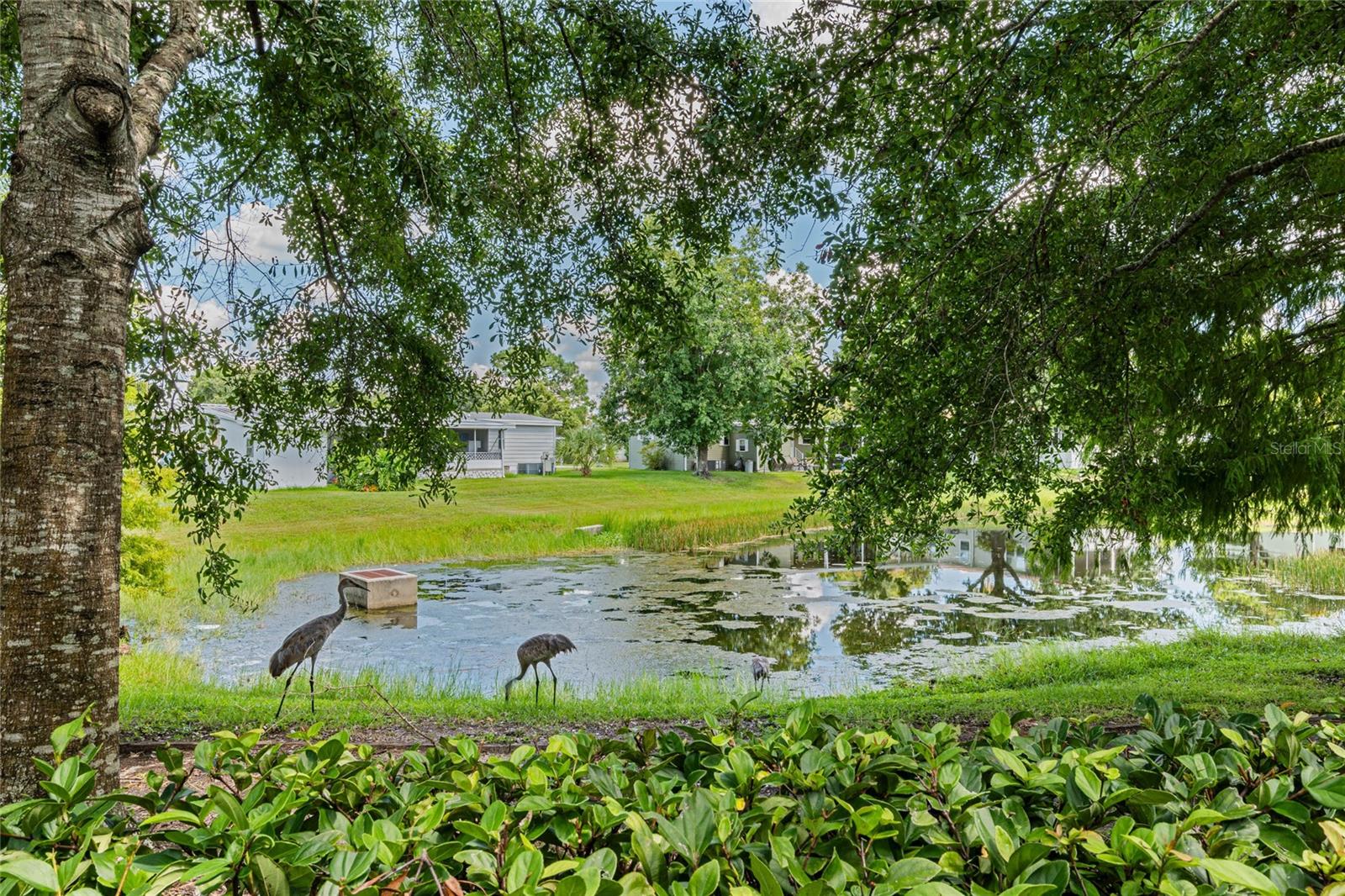 3817 SHAFTBURY PL, OVIEDO, FL, 32765