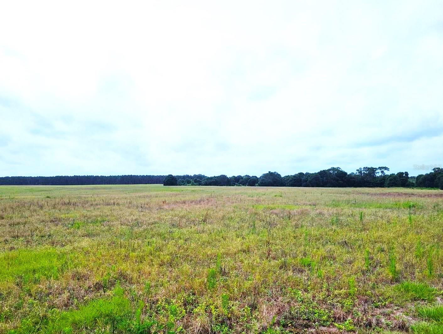 0 PINE ISLAND RD, CLERMONT, FL, 34711