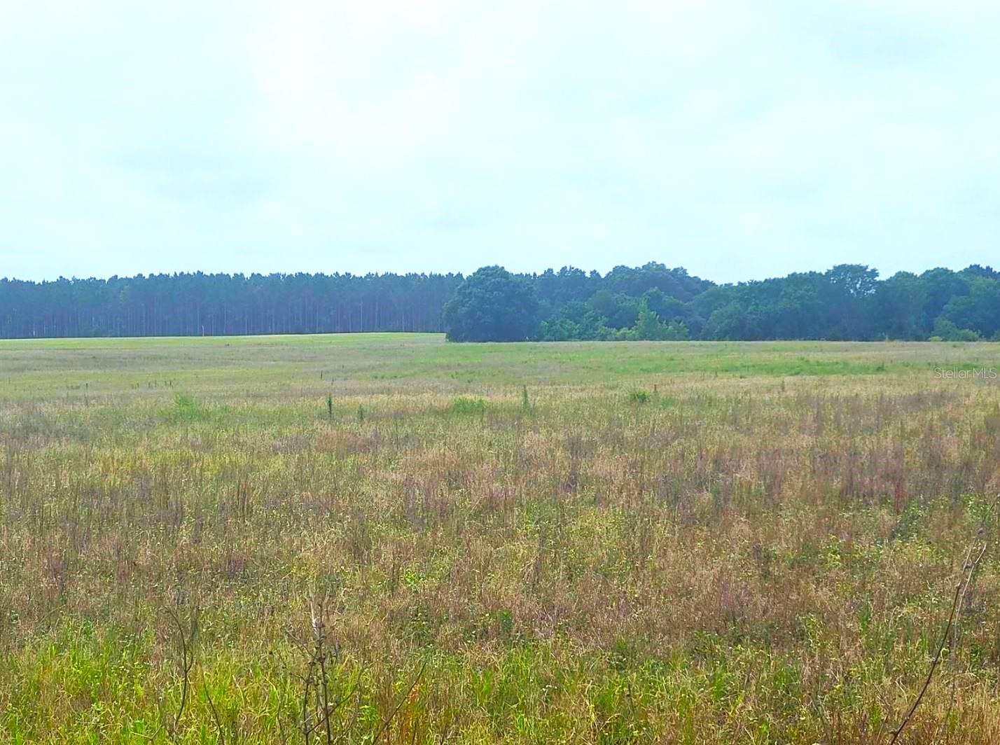 0 PINE ISLAND RD, CLERMONT, FL, 34711