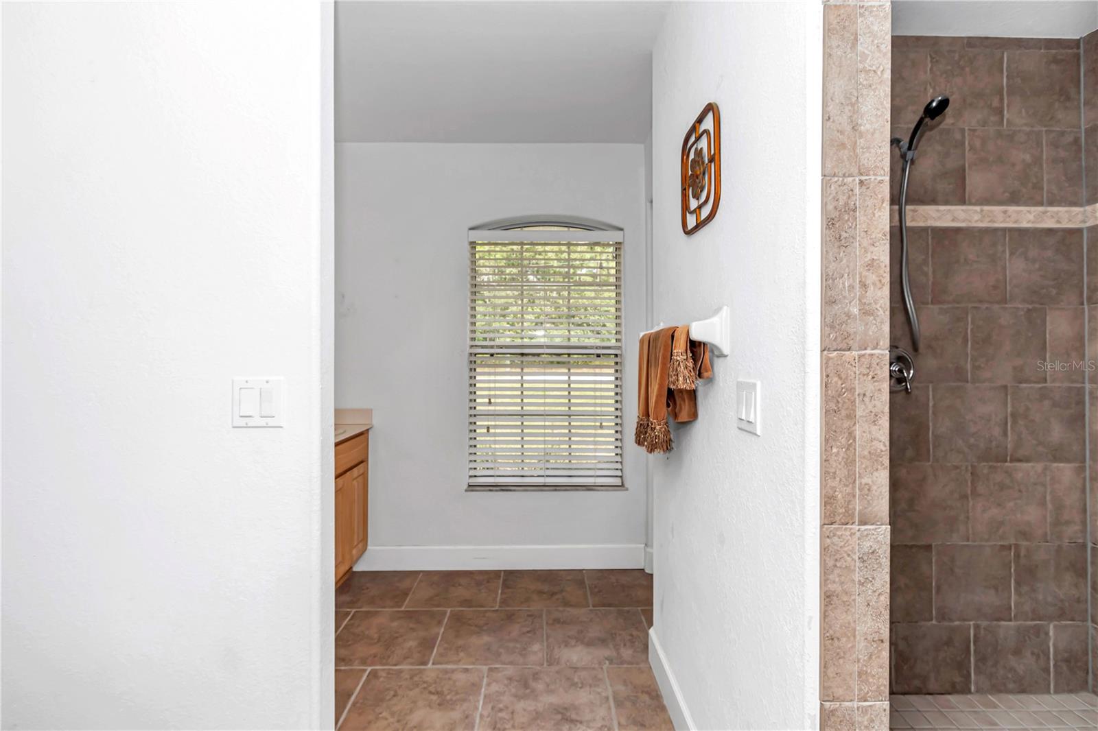 8192 SANTOS DR N, CITRUS SPRINGS, FL, 34434