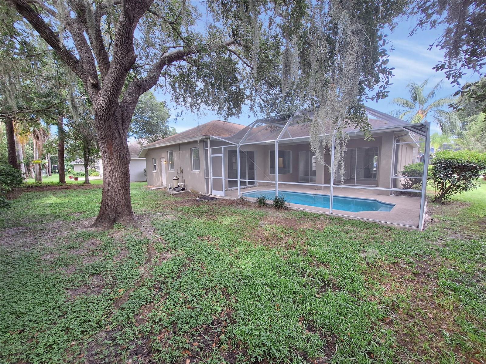 462 EQUINE DR, TARPON SPRINGS, FL, 34688