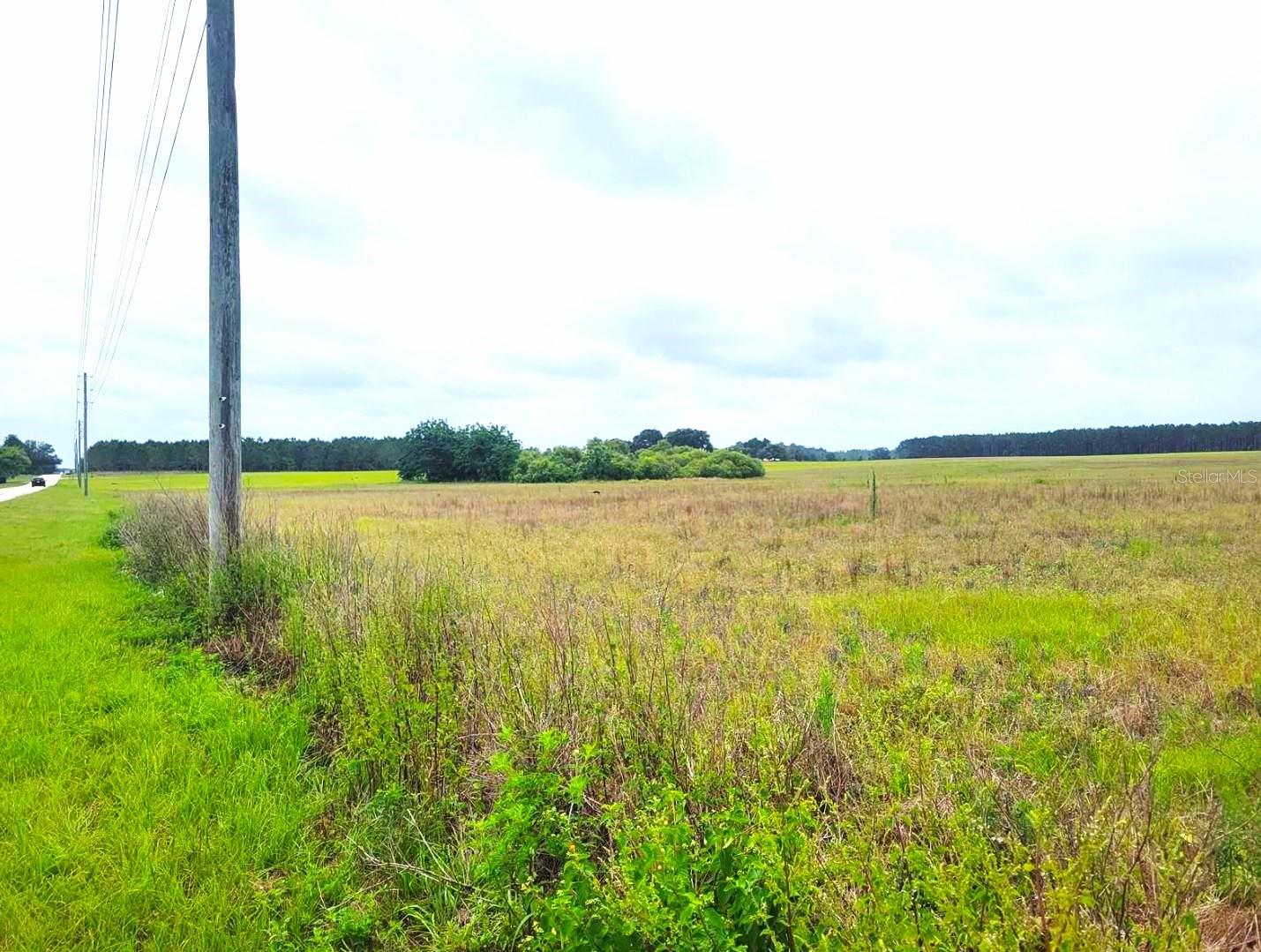 0 SR-33/PINE ISLAND RD., GROVELAND, FL, 34736