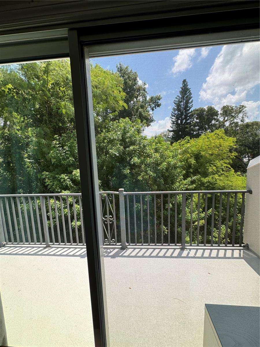 520 WHEATON TRENT PL, TAMPA, FL, 33619